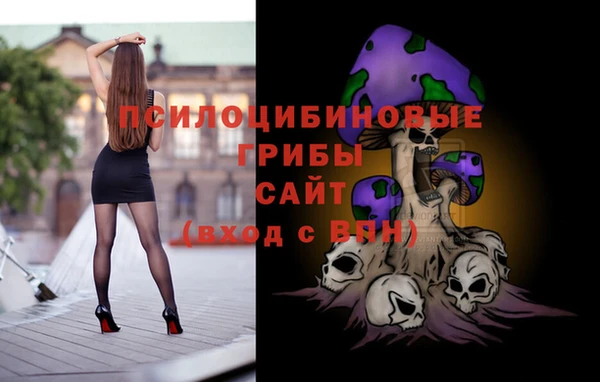 дурь Вязьма
