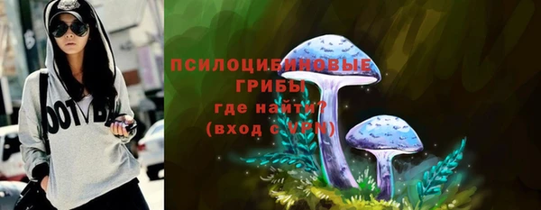 бутират Вяземский