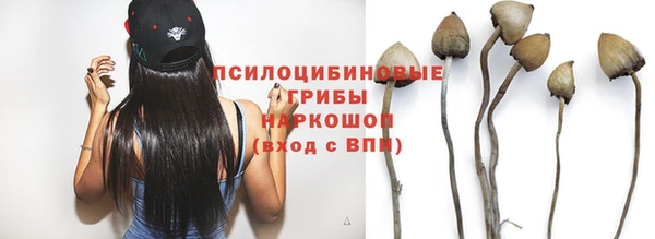 дурь Вязьма