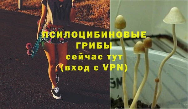 синтетический гашиш Вязники