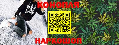 дмт Нальчик
