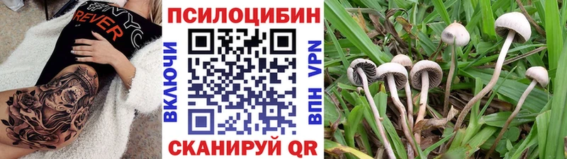 Галлюциногенные грибы мицелий Торжок