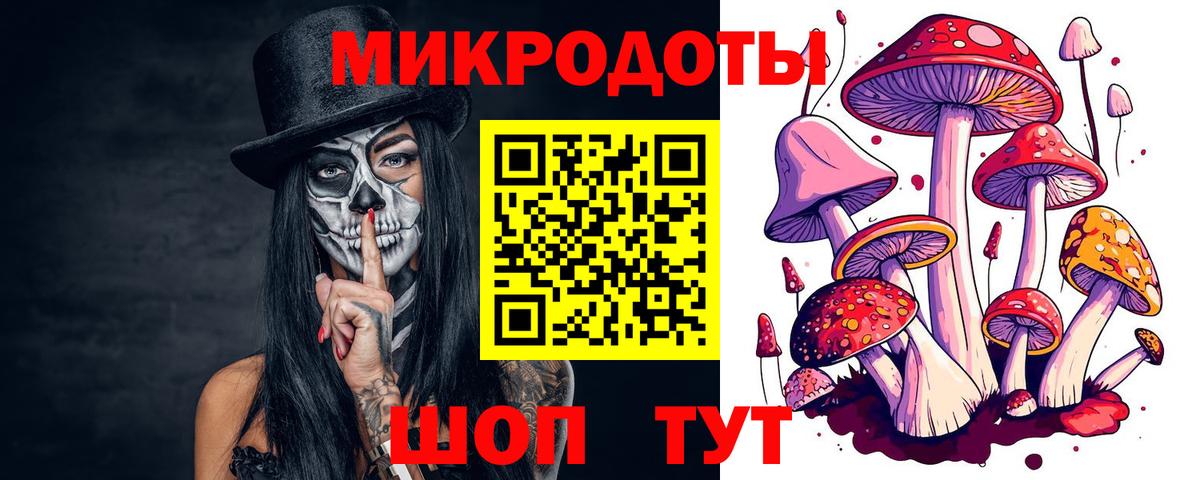 Псилоцибиновые грибы Psilocybine cubensis Торжок